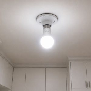 277273 (2).jpg